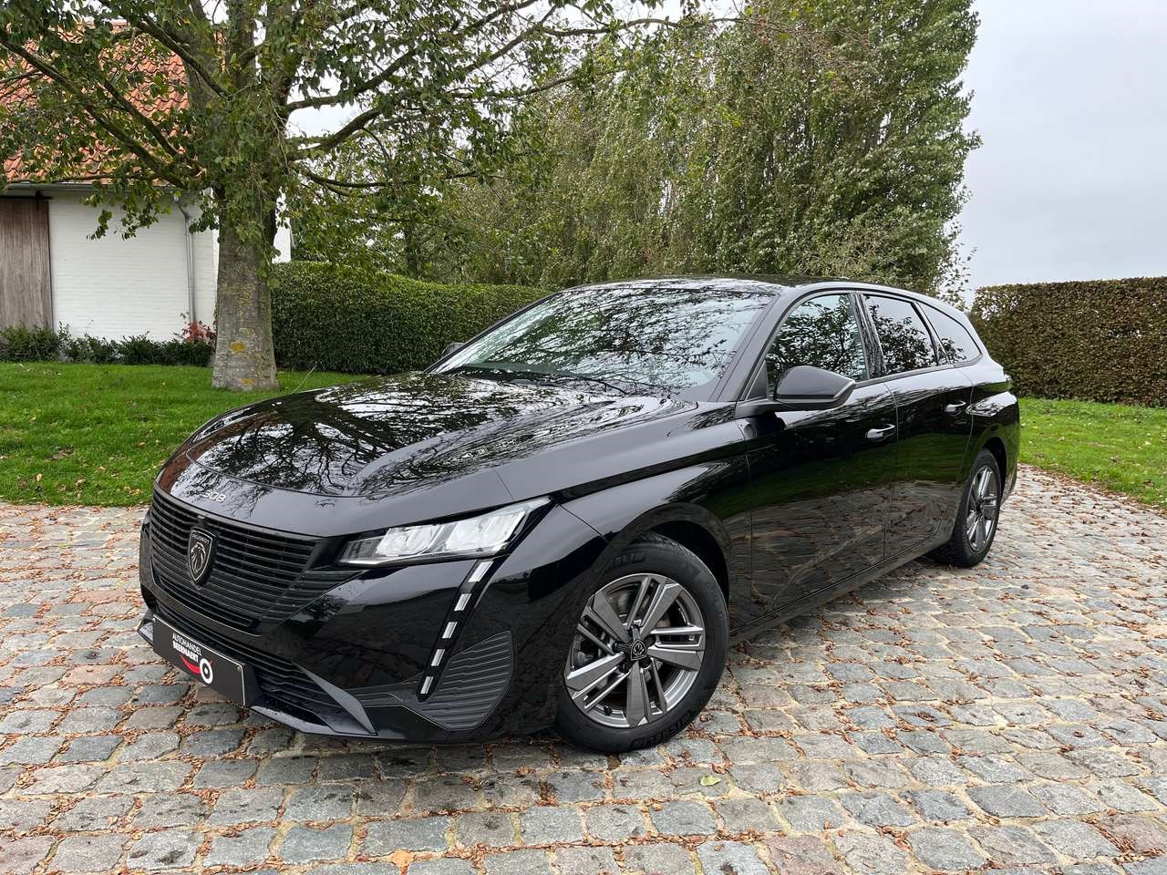 Peugeot E-308